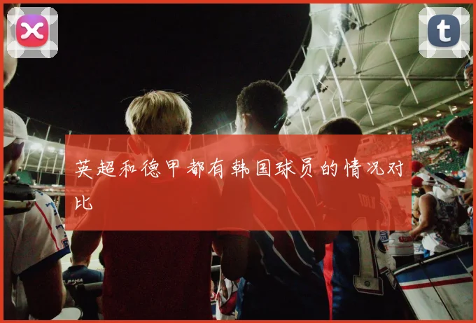 英超和德甲都有韩国球员的情况对比