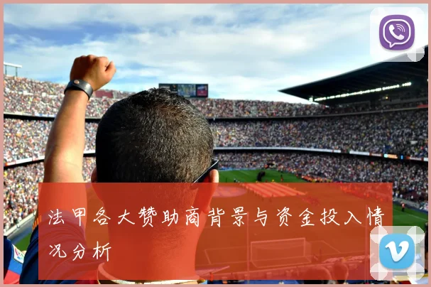 法甲各大赞助商背景与资金投入情况分析