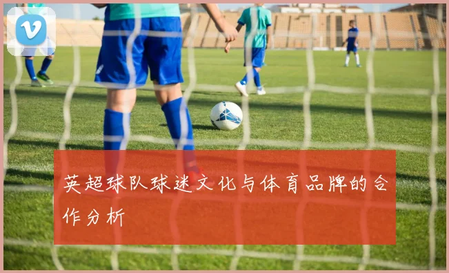 英超球队球迷文化与体育品牌的合作分析